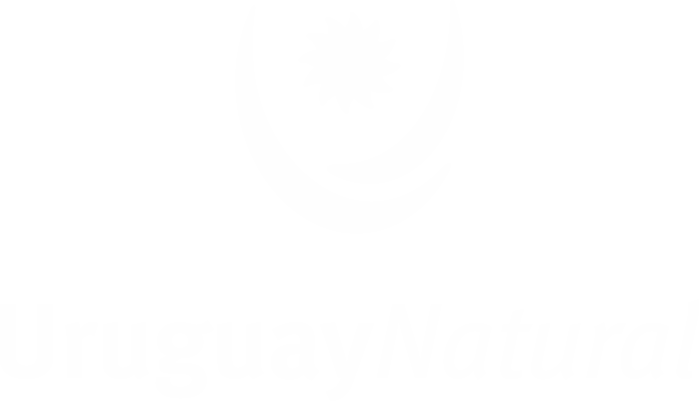 uruguay_natural_logo_web.png